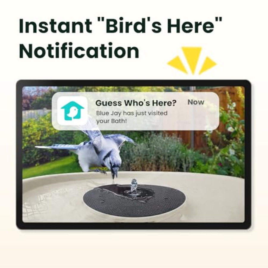Bird Watching Smart Bird Bath  - Watches & Jewelry Repair Center New York Reviews 评论和价格