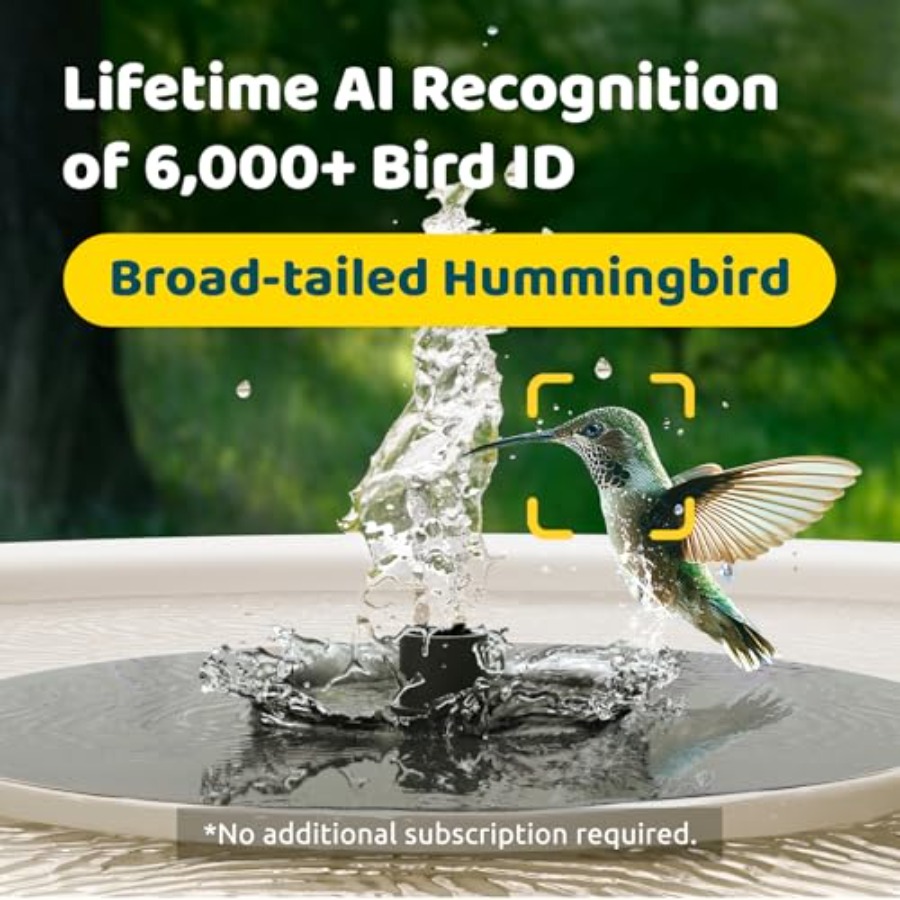Bird Watching Smart Bird Bath  - Watches & Jewelry Repair Center New York Reviews 评论和价格