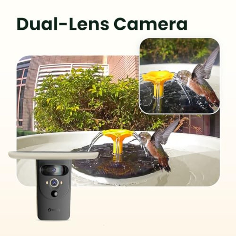 Bird Watching Smart Bird Bath  - Watches & Jewelry Repair Center New York Reviews 评论和价格