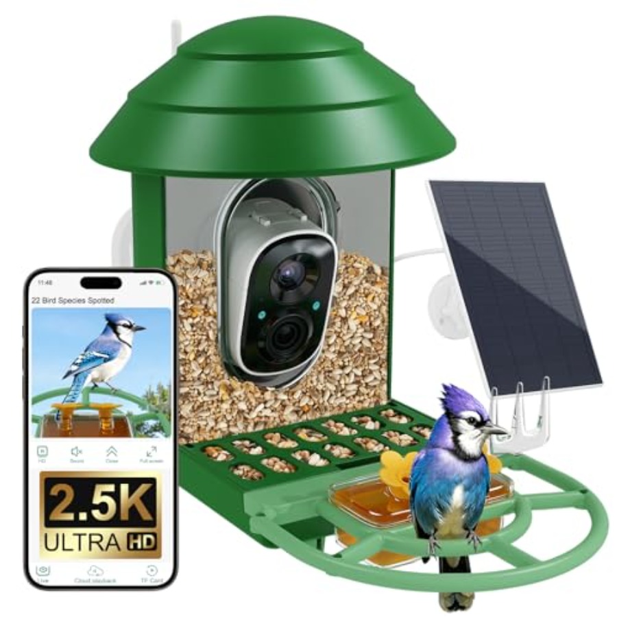 Bird Feeder with Camera for Ou - Watches & Jewelry Repair Center New York Reviews 评论和价格