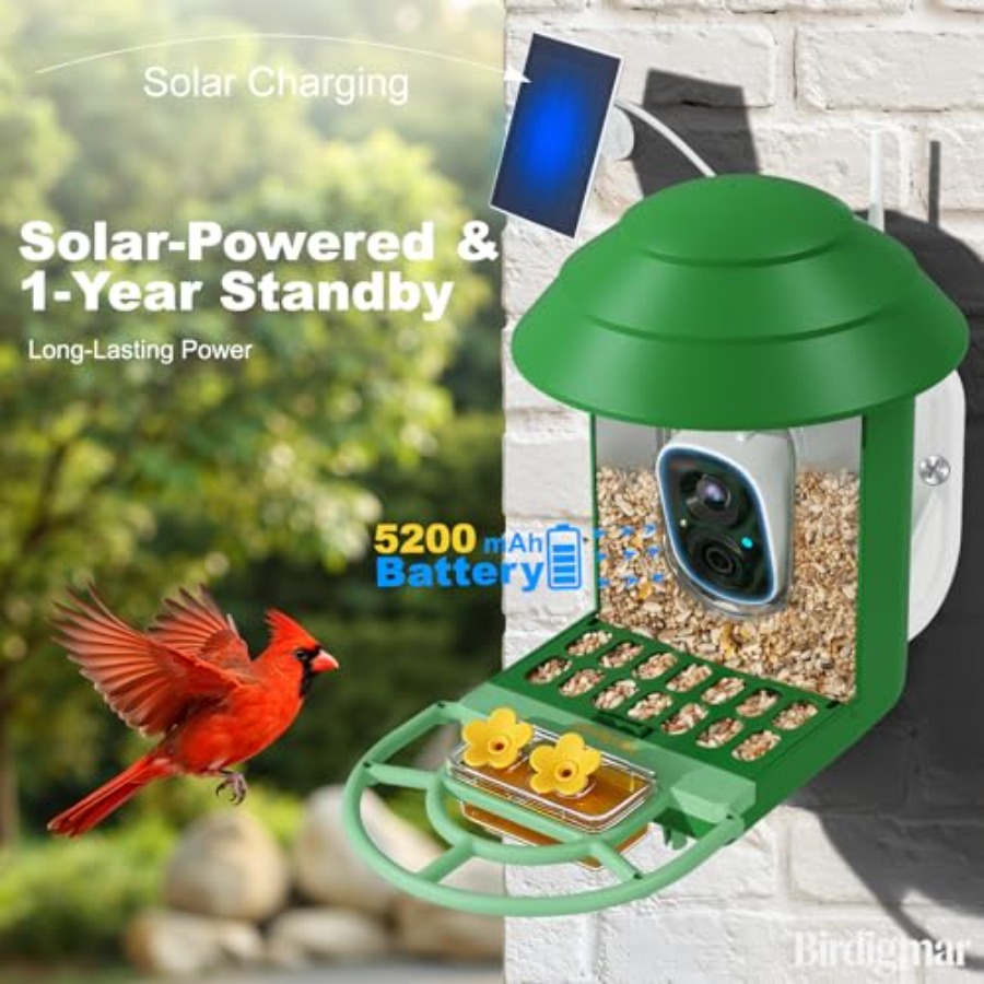 Bird Feeder with Camera for Ou - Watches & Jewelry Repair Center New York Reviews 评论和价格