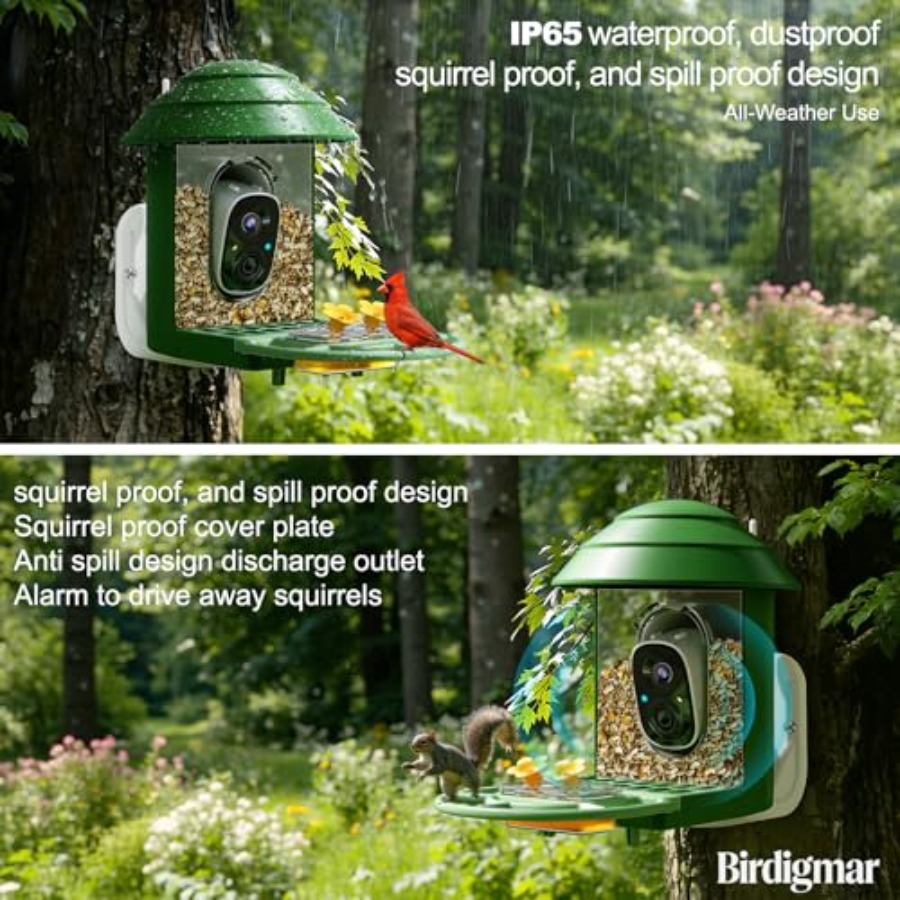 Bird Feeder with Camera for Ou - Watches & Jewelry Repair Center New York Reviews 评论和价格