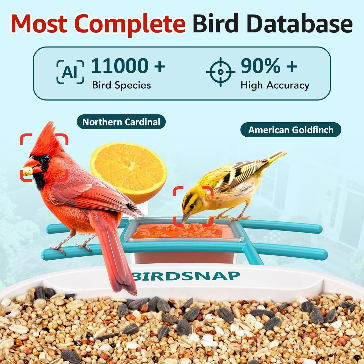 2K HD Bird Feeder Camera with  - Watches & Jewelry Repair Center New York Reviews 评论和价格