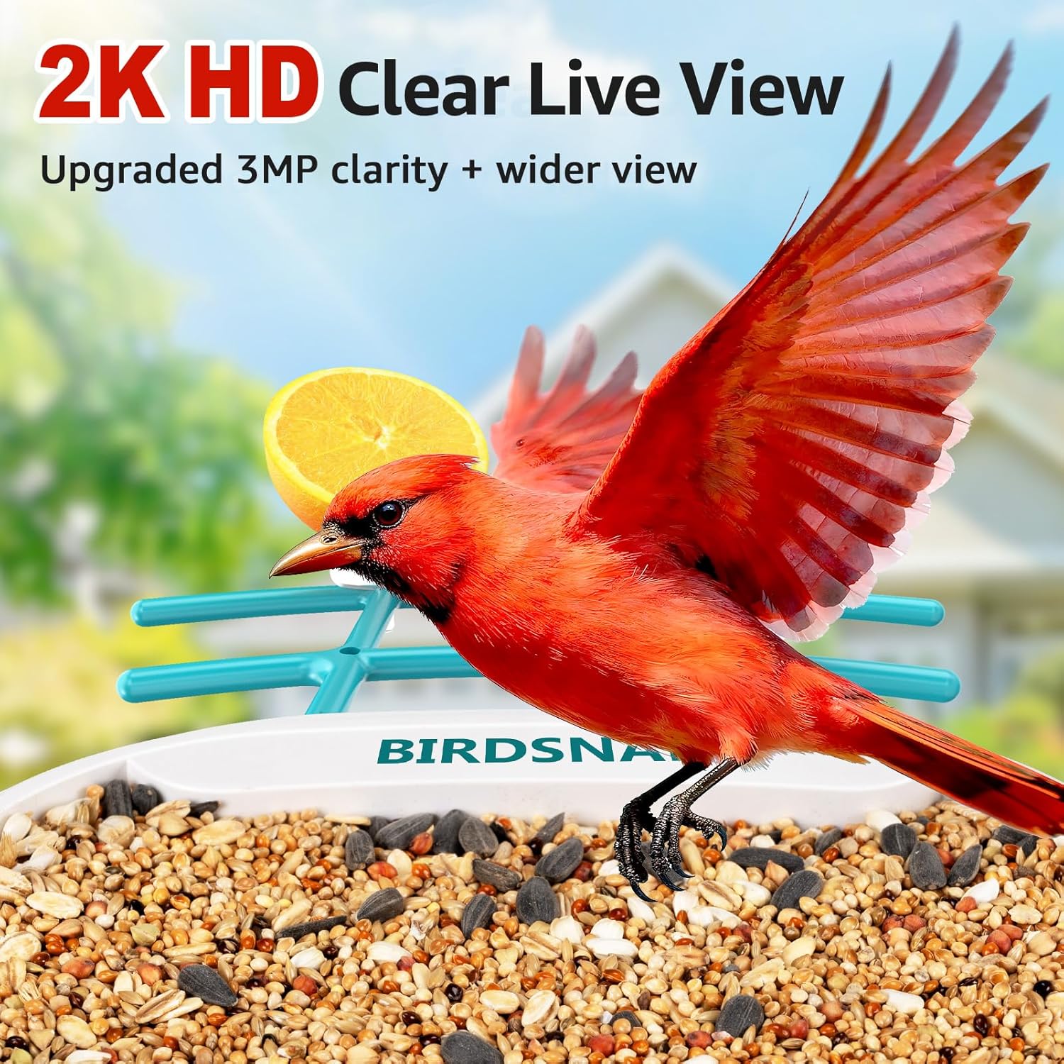 2K HD Bird Feeder Camera with  - Watches & Jewelry Repair Center New York Reviews 评论和价格